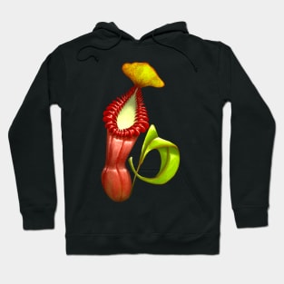 Carnivorous Plant Nepenthes Edwardsiana Botanical Pitcher Plant Hoodie